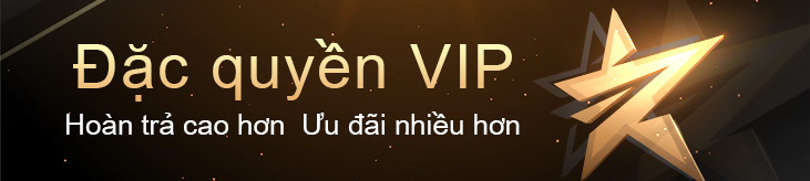 đặc quyền vip